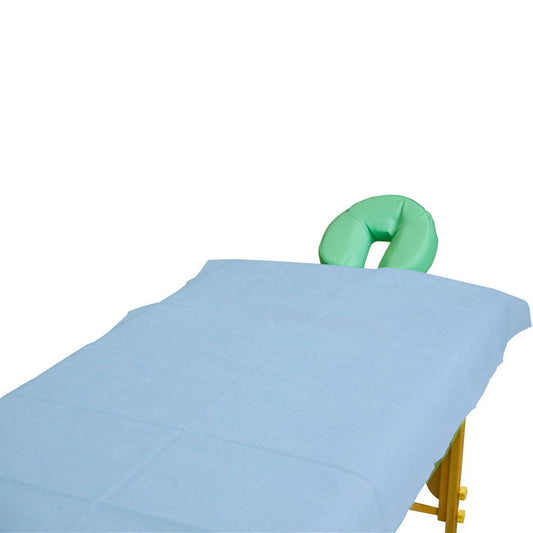 Disposable Sheets for Exam Tables - Light Blue (100)