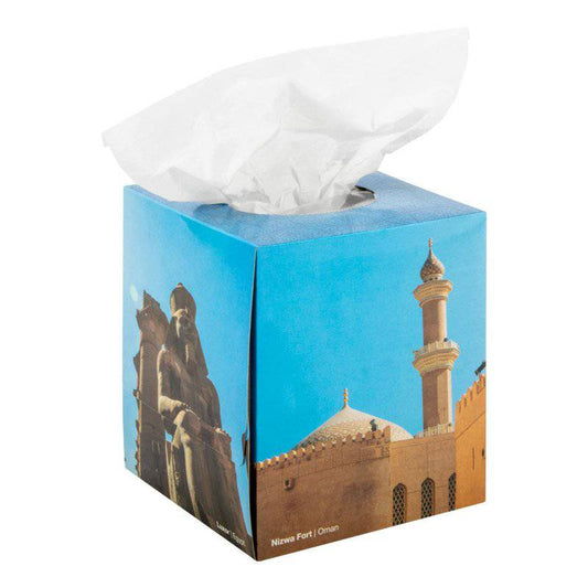 Paper Tissue (box of 100)